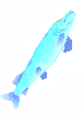 Azure Sphyra